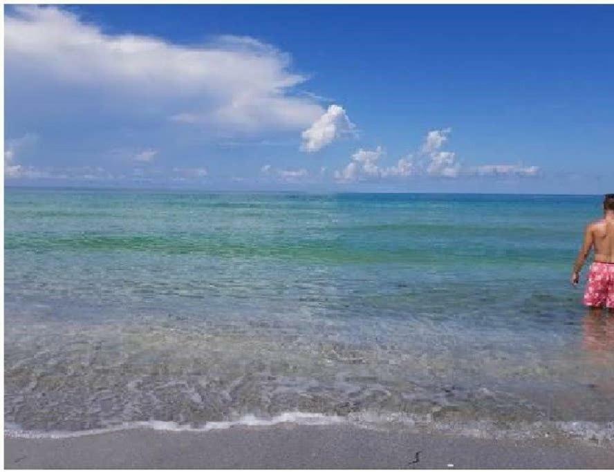 The Beach On Longboat Key Exteriör bild
